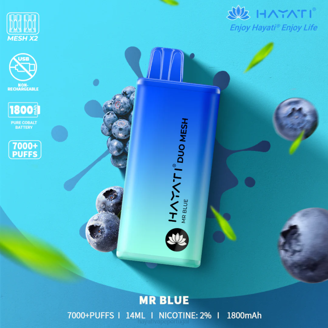 Hayati Duo Mesh descartável - JR6H174 Hayati Vape Flavours senhor azul